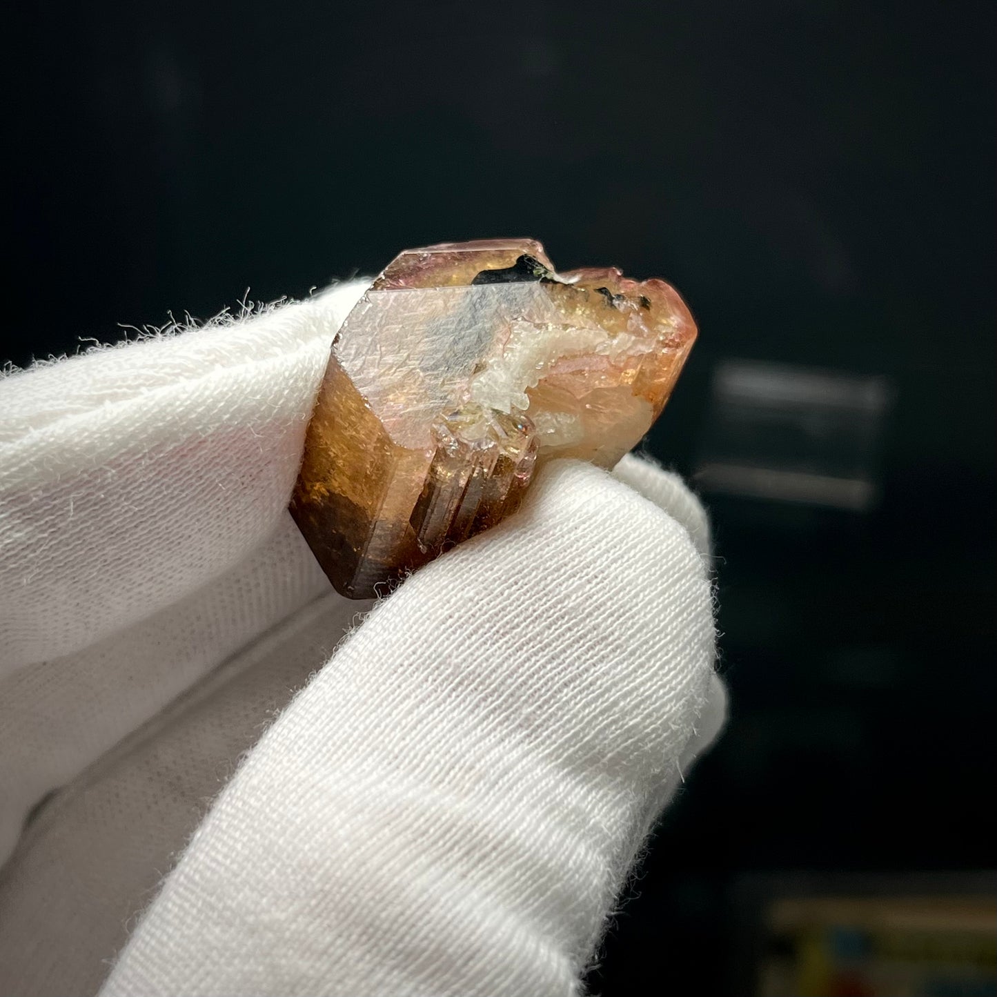 Fluor-liddicoatite Tourmaline Crystal Madagascar 19.63g