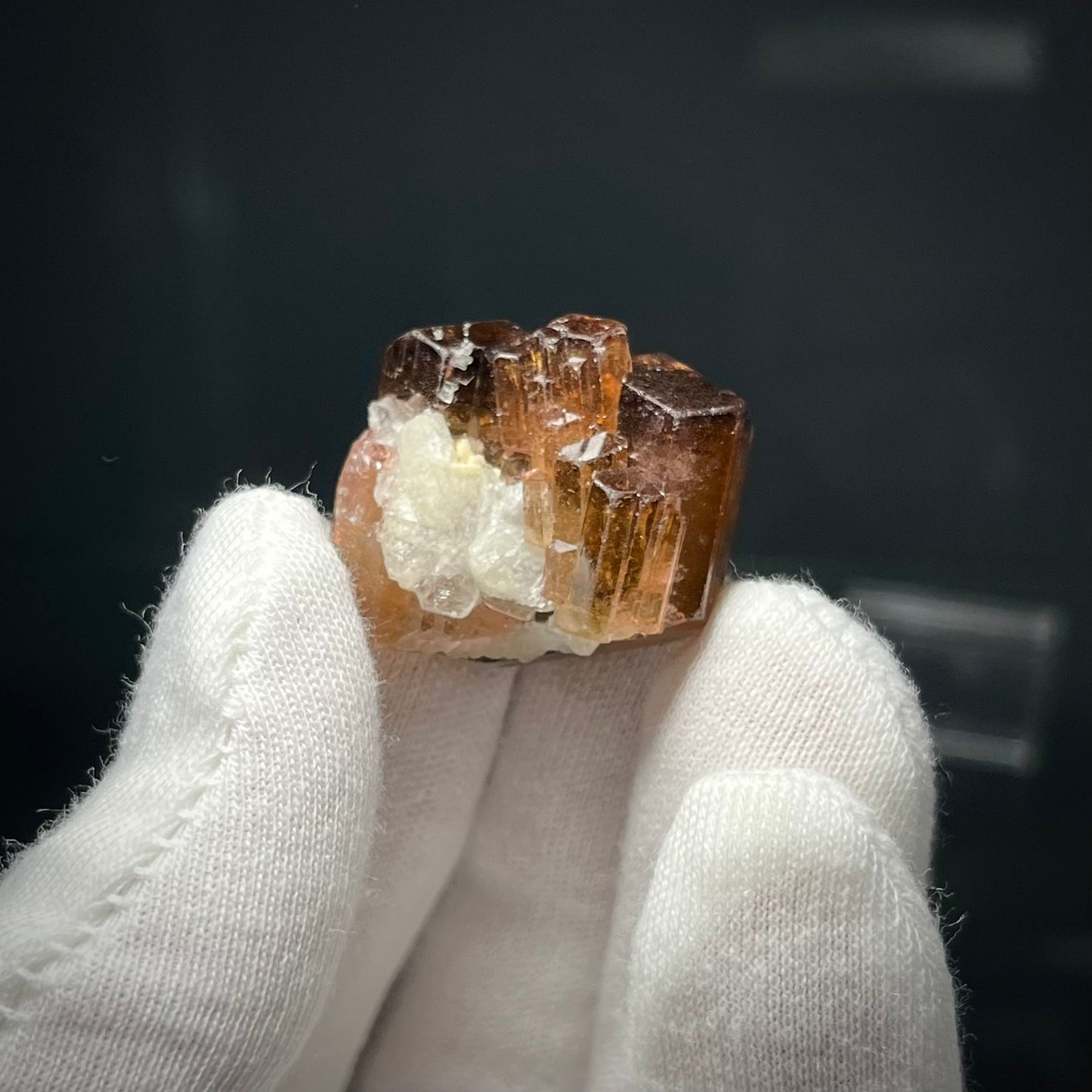 Fluor-liddicoatite Tourmaline Crystal Madagascar 19.63g