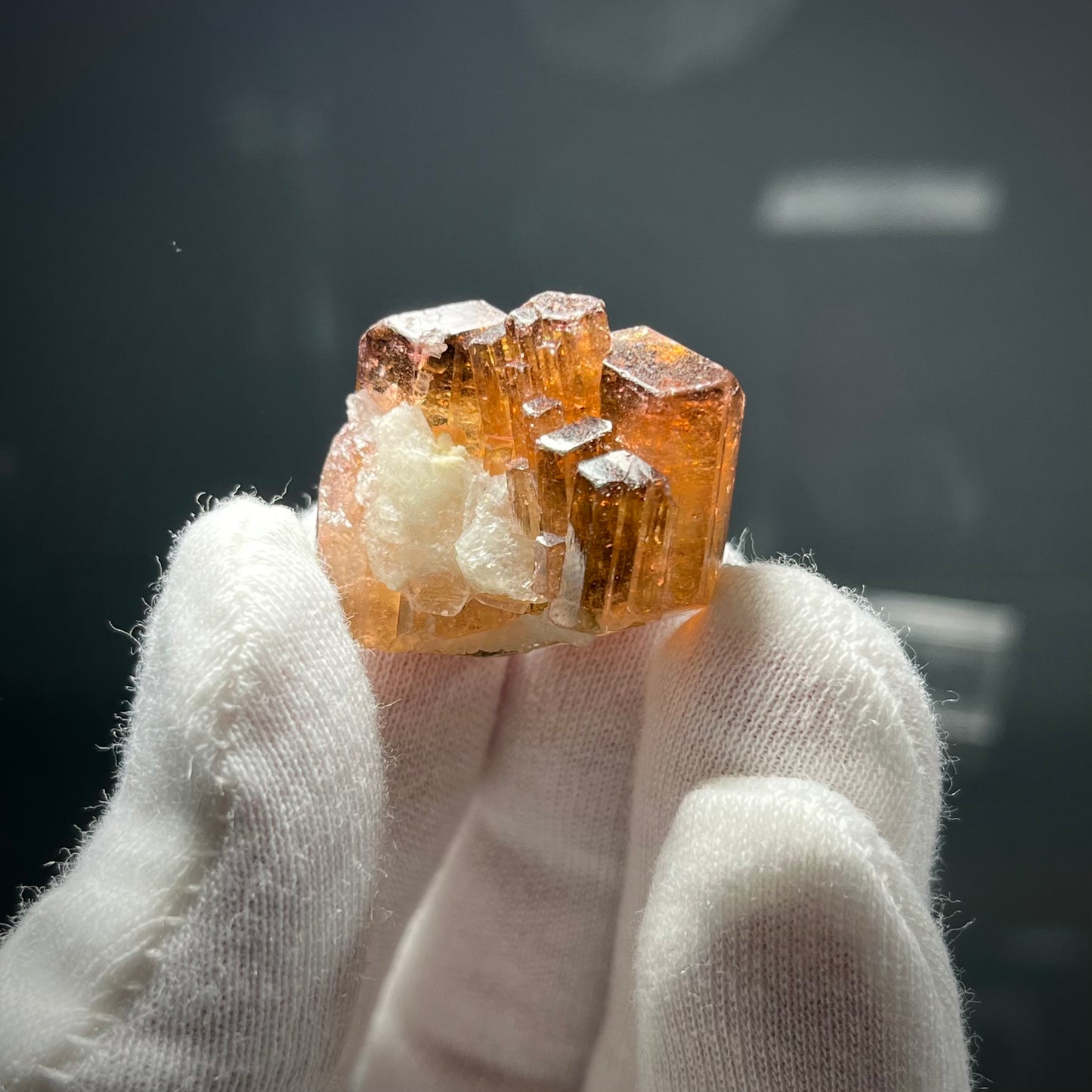 Fluor-liddicoatite Tourmaline Crystal Madagascar 19.63g