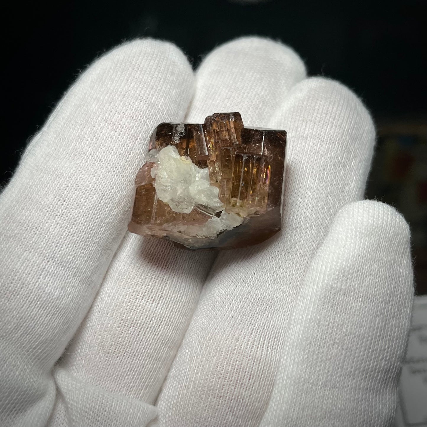 Fluor-liddicoatite Tourmaline Crystal Madagascar 19.63g