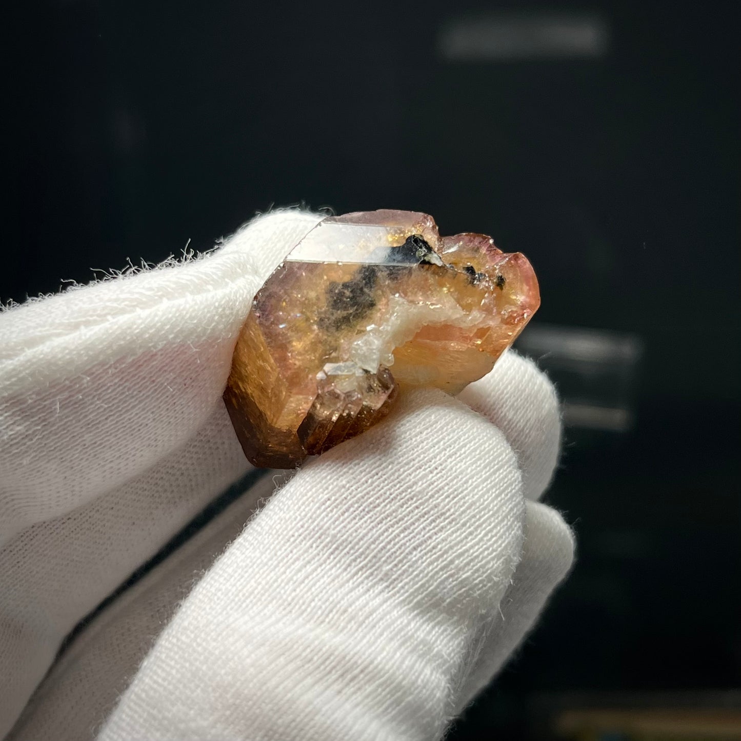 Fluor-liddicoatite Tourmaline Crystal Madagascar 19.63g