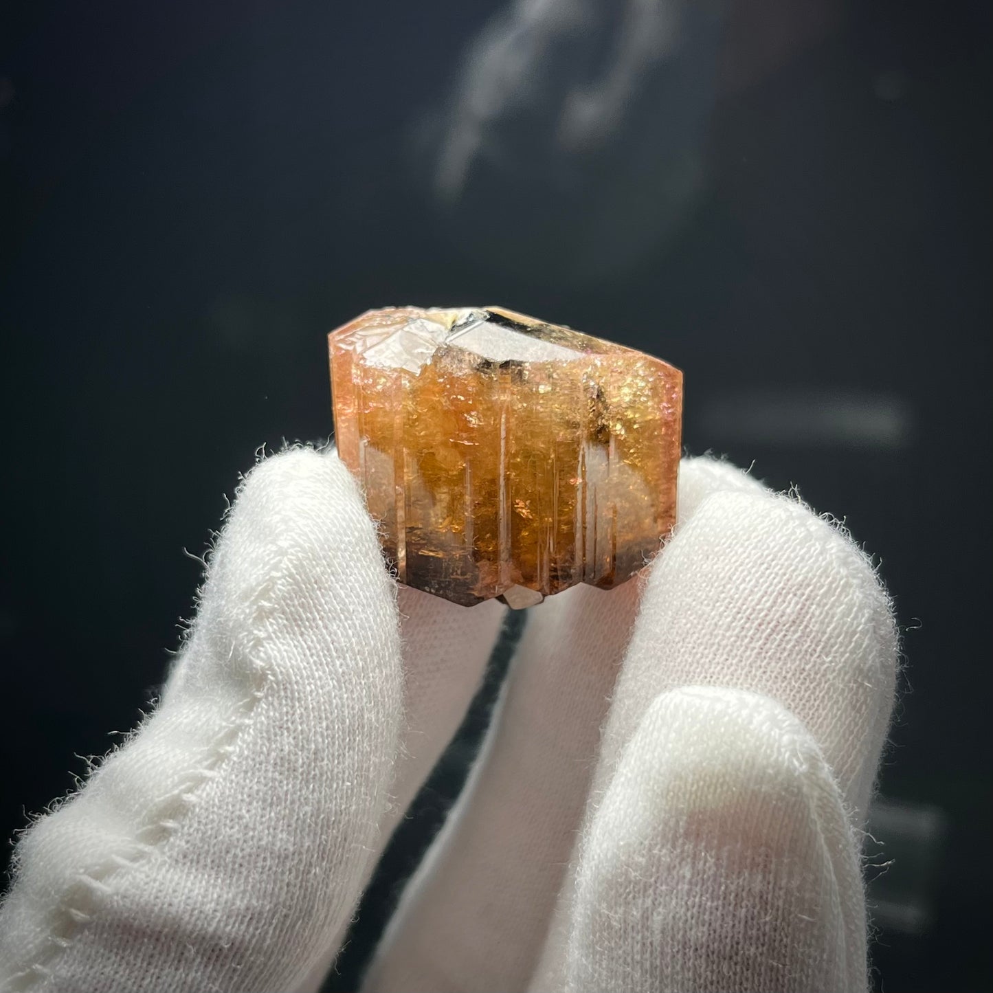 Fluor-liddicoatite Tourmaline Crystal Madagascar 19.63g