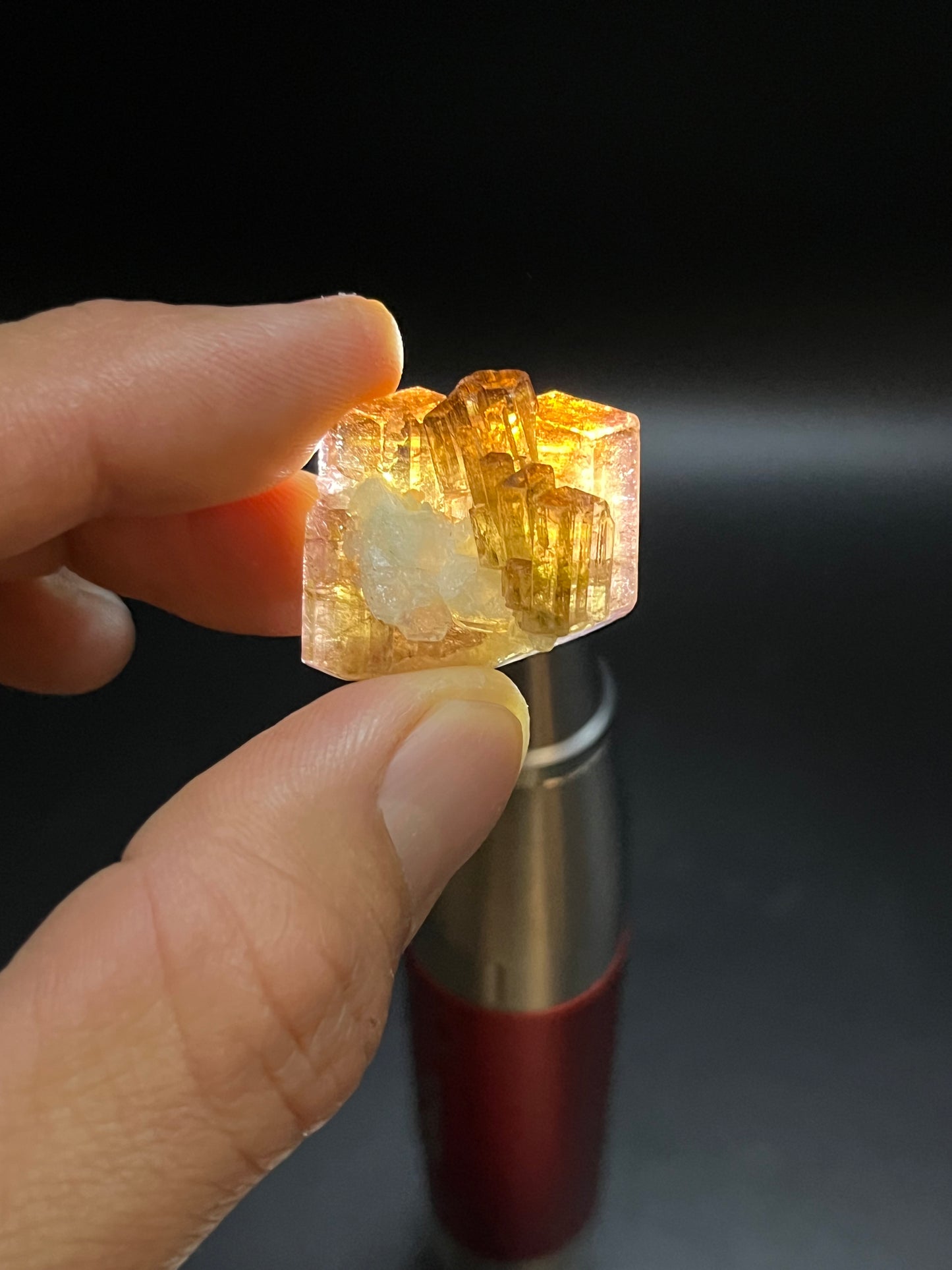 Fluor-liddicoatite Tourmaline Crystal Madagascar 19.63g