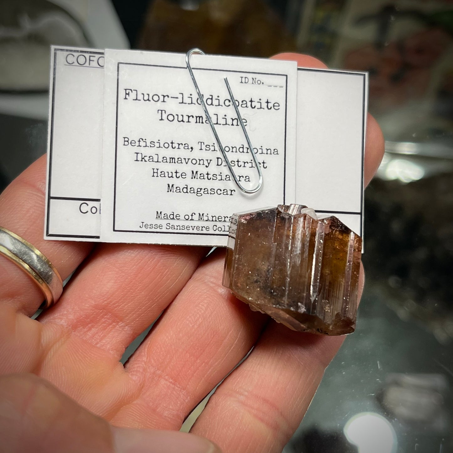 Fluor-liddicoatite Tourmaline Crystal Madagascar 19.63g