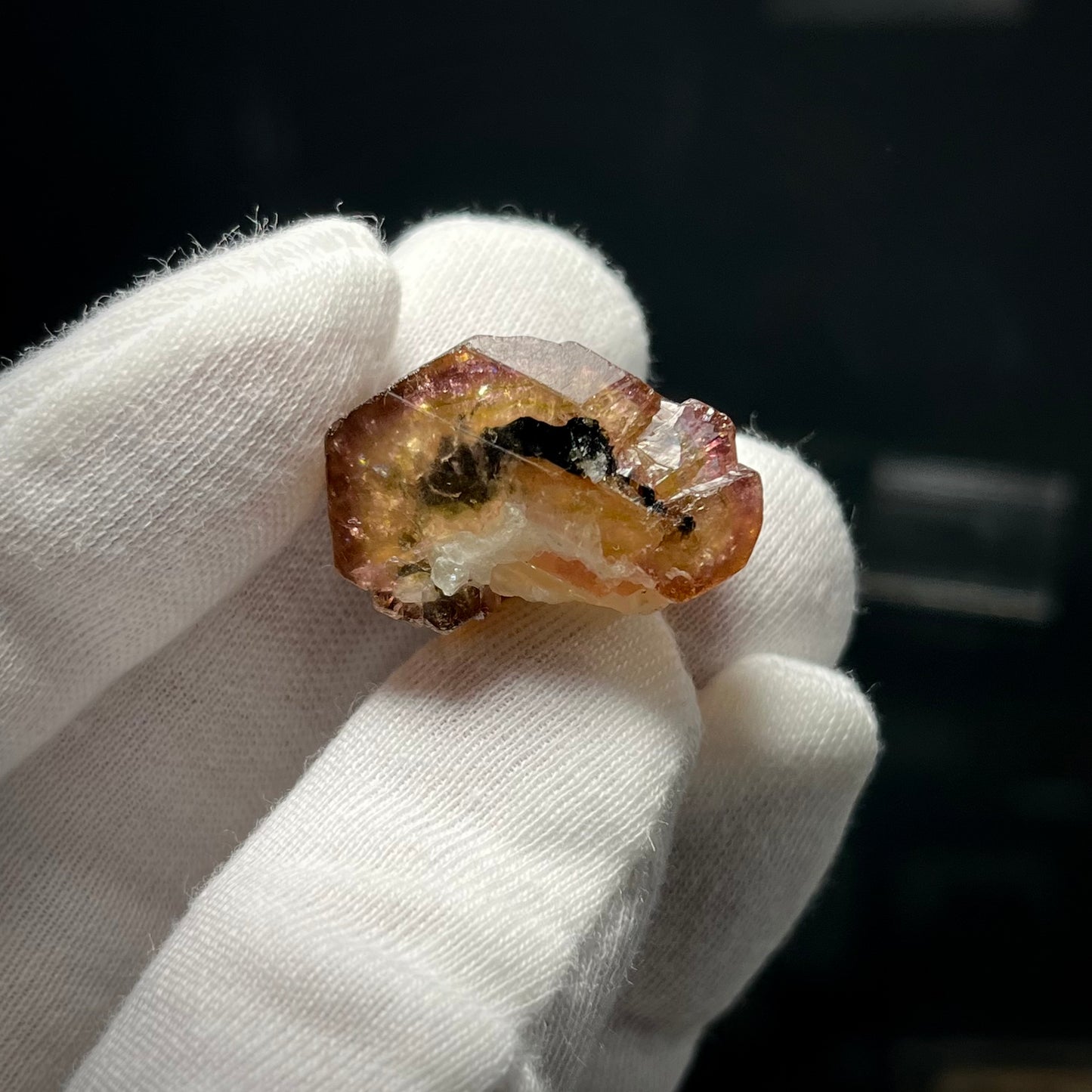 Fluor-liddicoatite Tourmaline Crystal Madagascar 19.63g